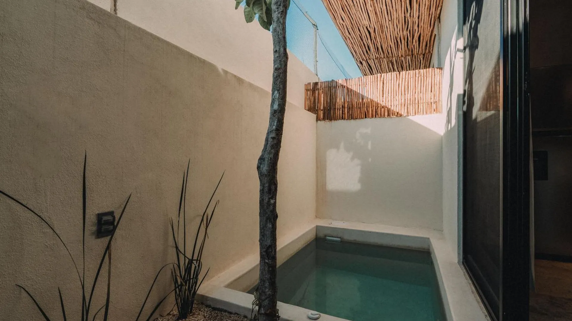 Departamento Con Piscina Privada! Lägenhet Tulum