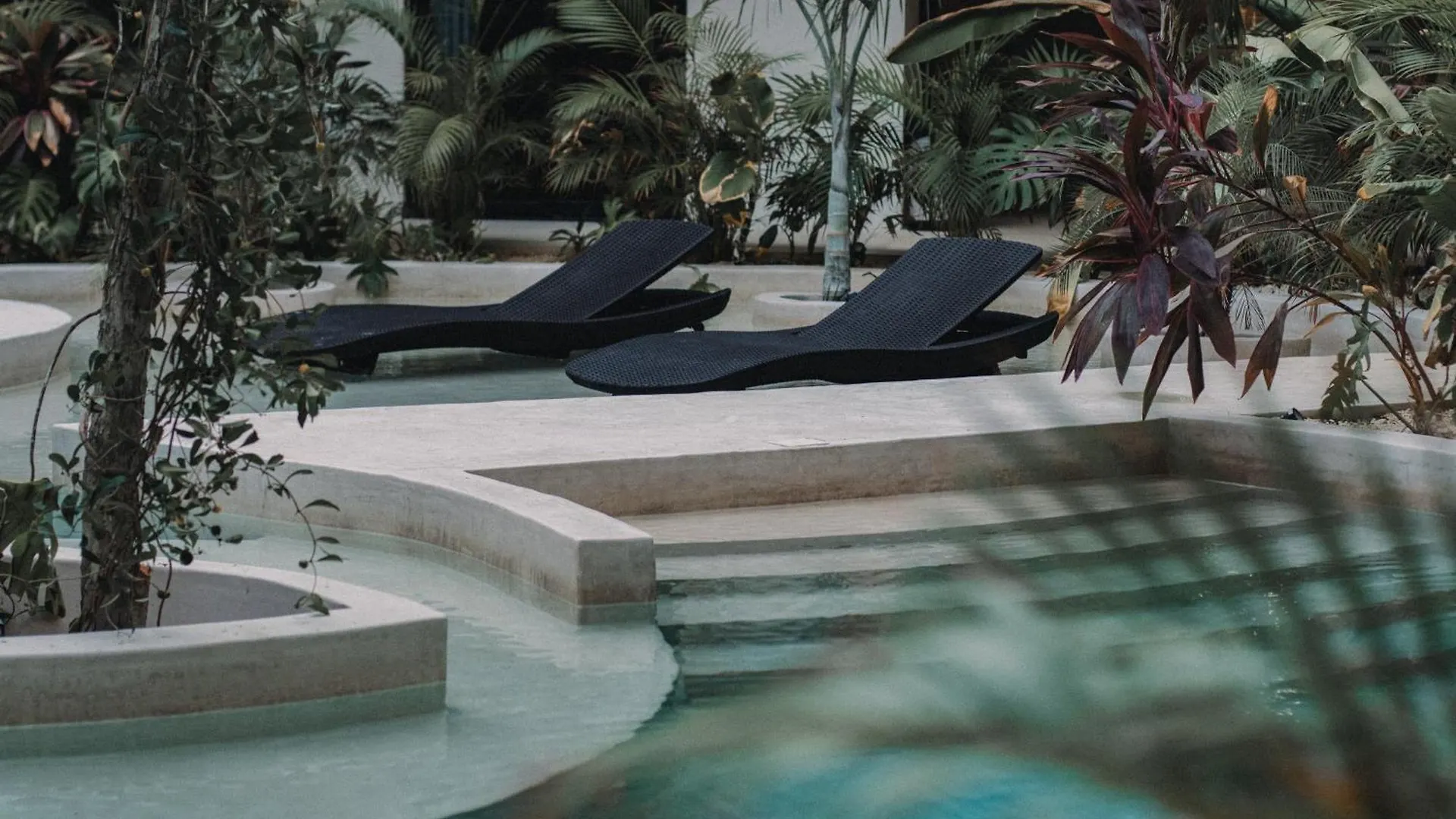 Departamento Con Piscina Privada! Lägenhet Tulum Mexiko